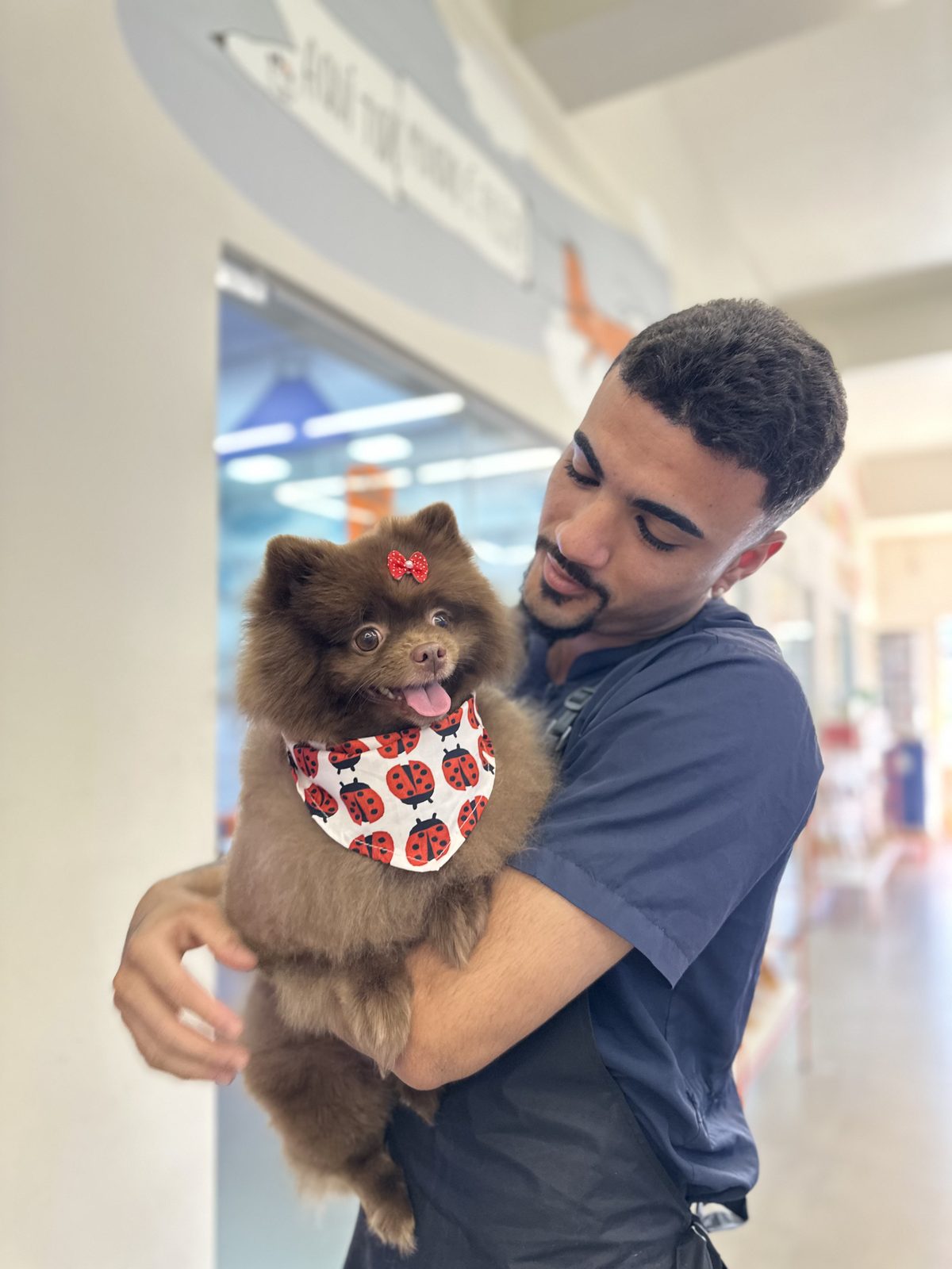 Cuidador do Clube04 no colo com cão após o banho premium em Rio Preto